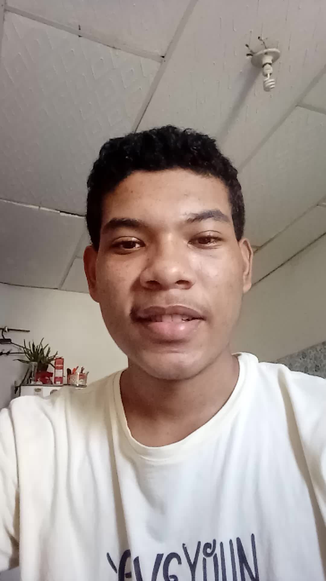 Asiente virtual 
