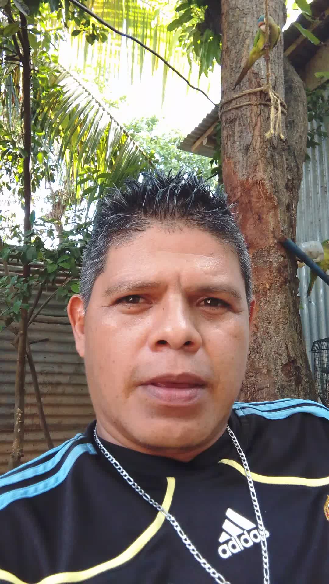 Asistente virtual 