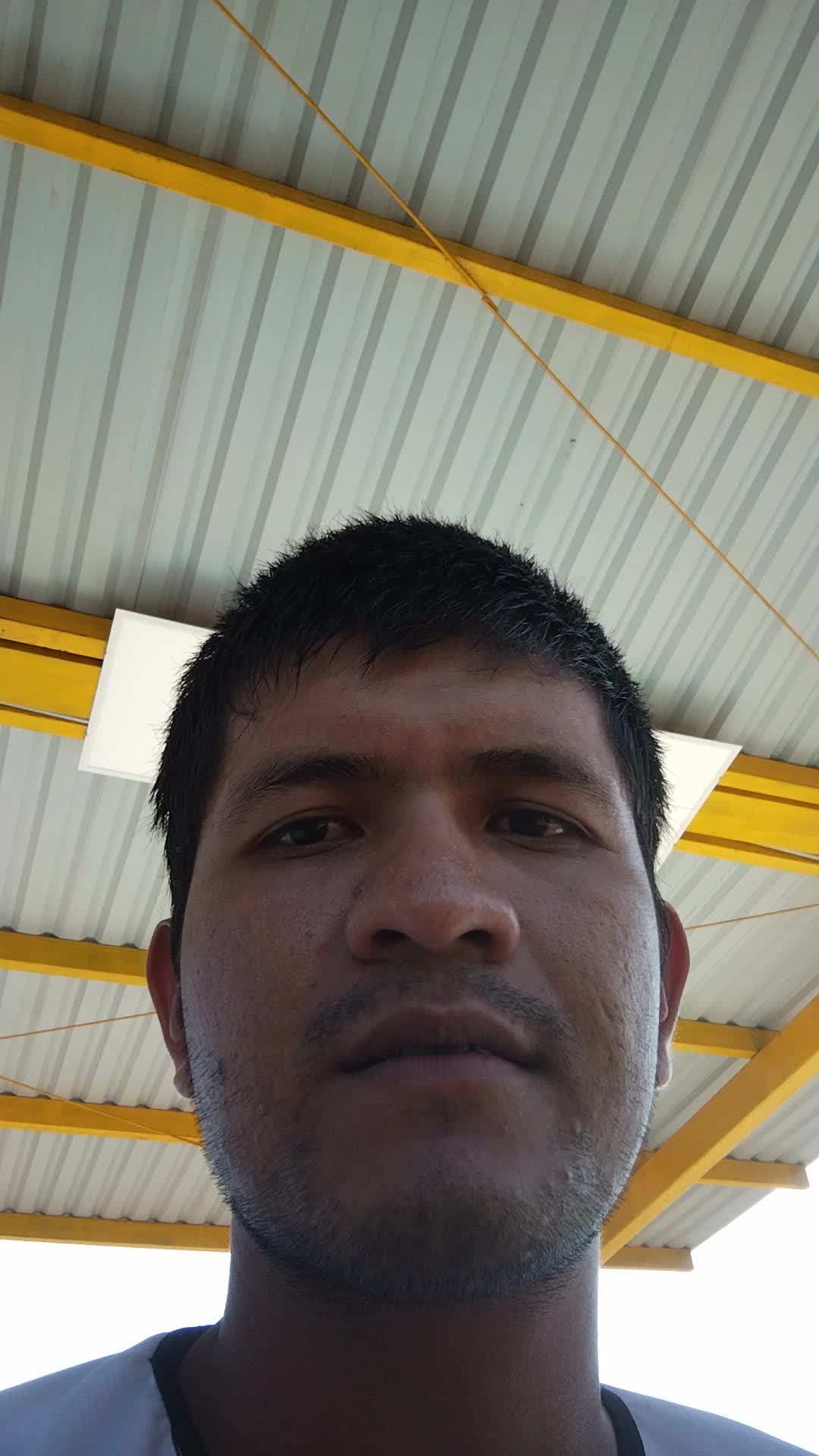 Asistente virtual, técnico agropecuario 