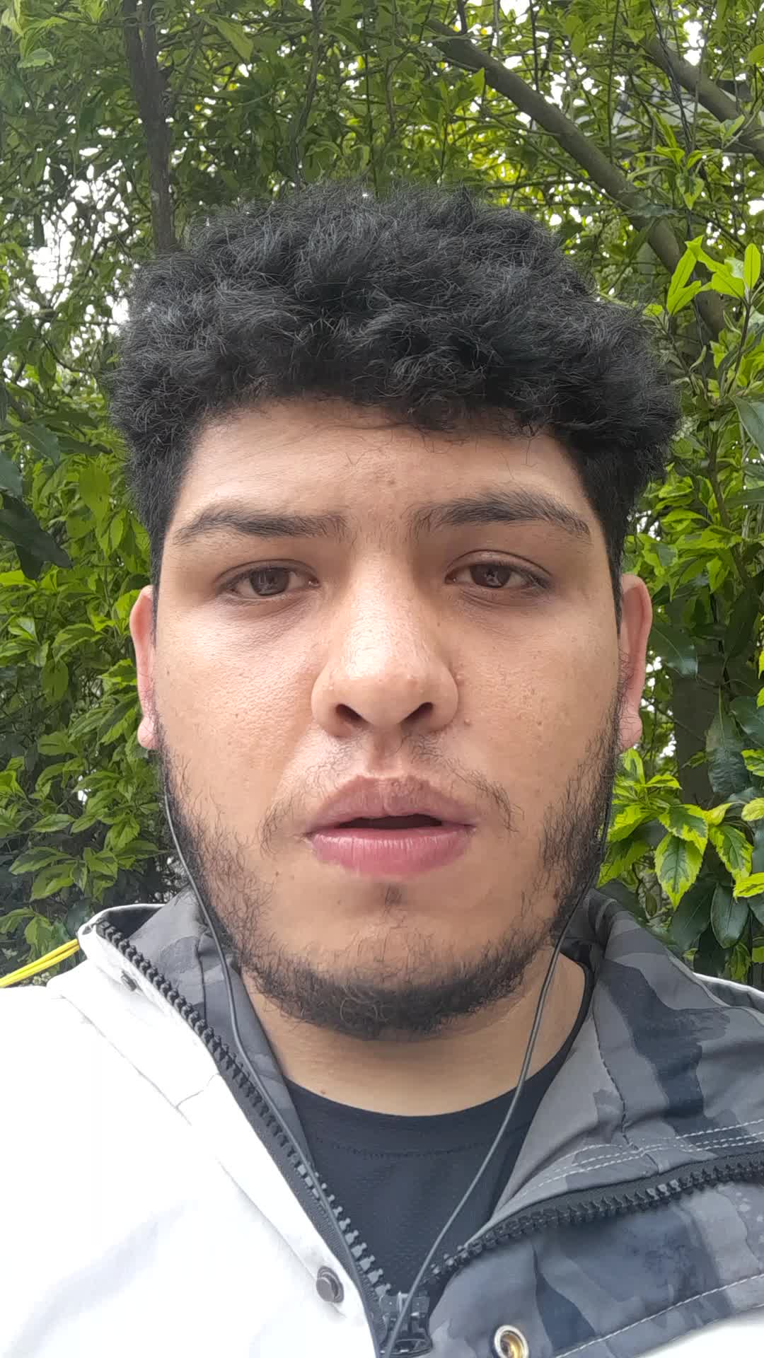 Asistente virtual 