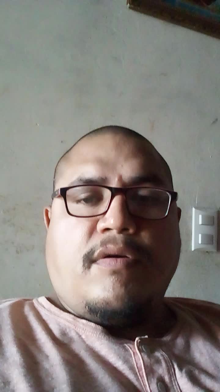 Seguridad interna 
