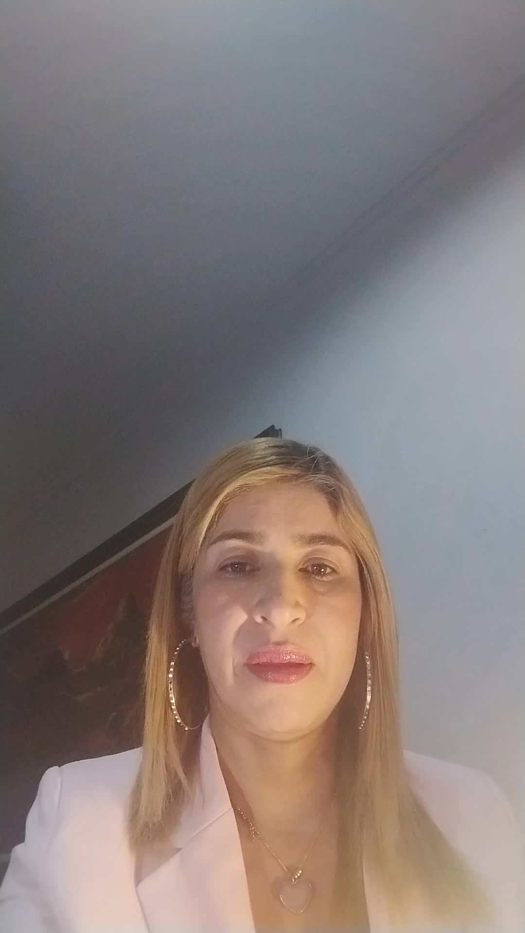EJECUTIVA COMERCIAL /ASESORA EN  VENTAS
