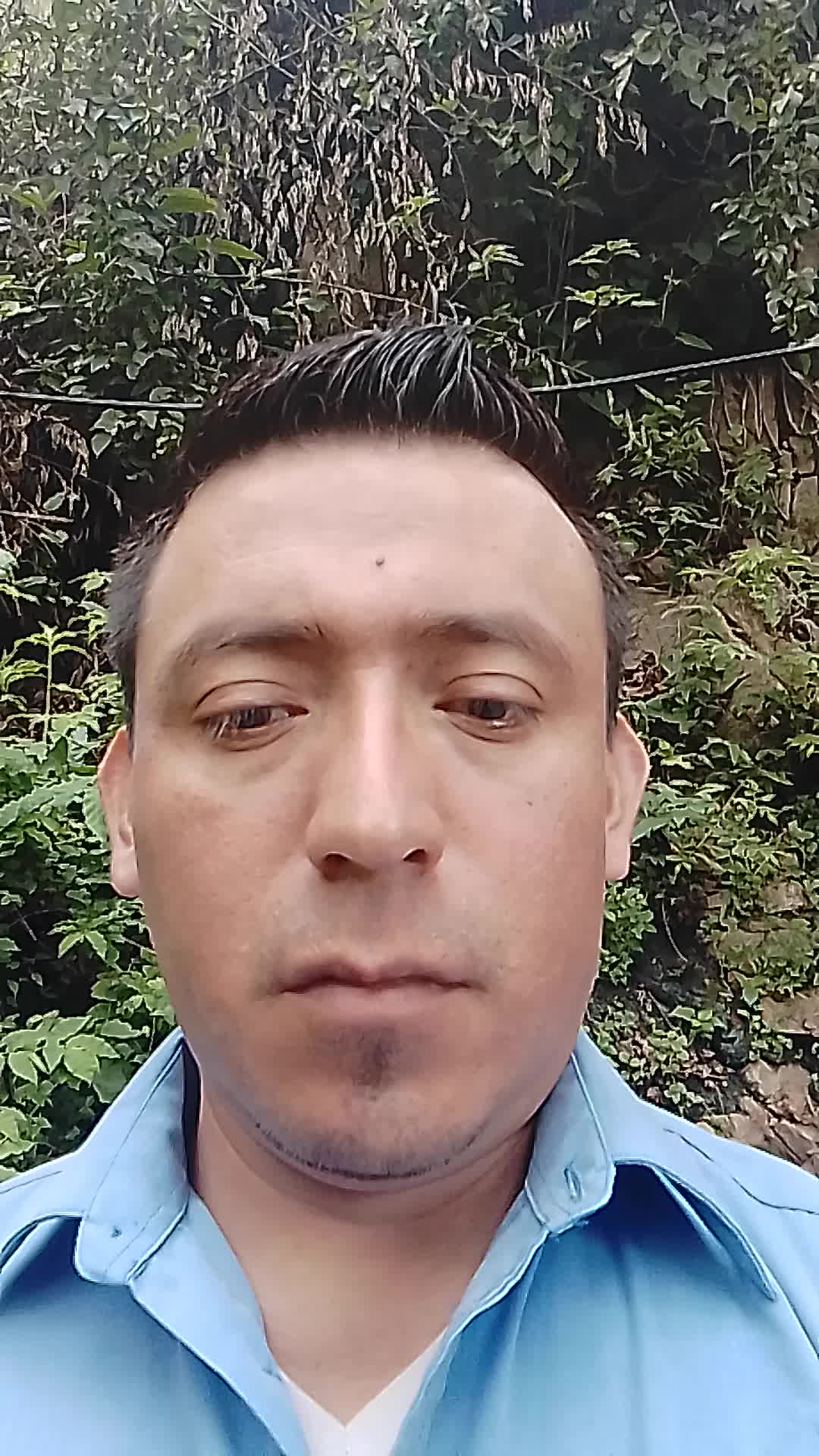Asistente virtual