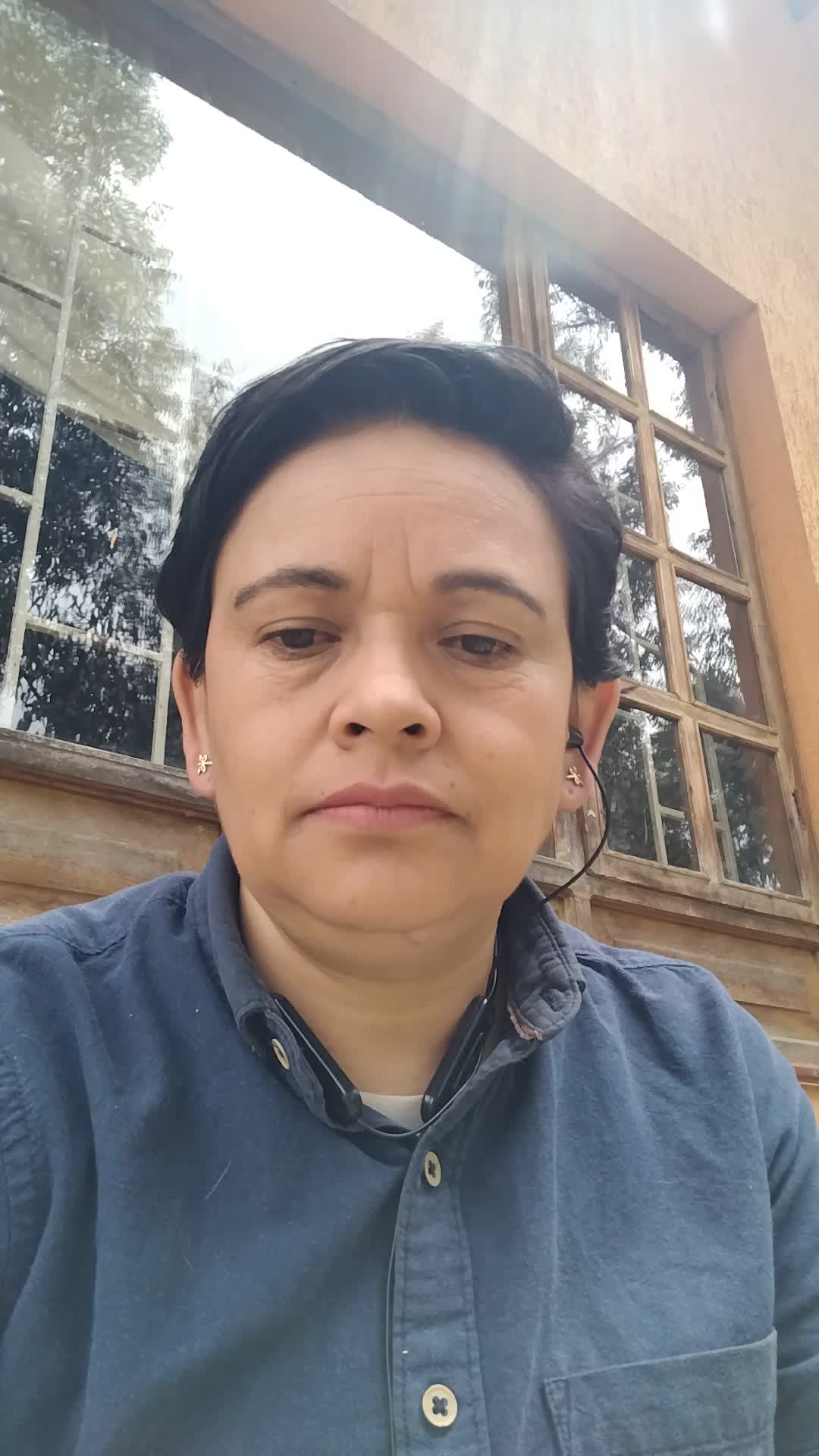 Técnico en construcción de edificcaiones 