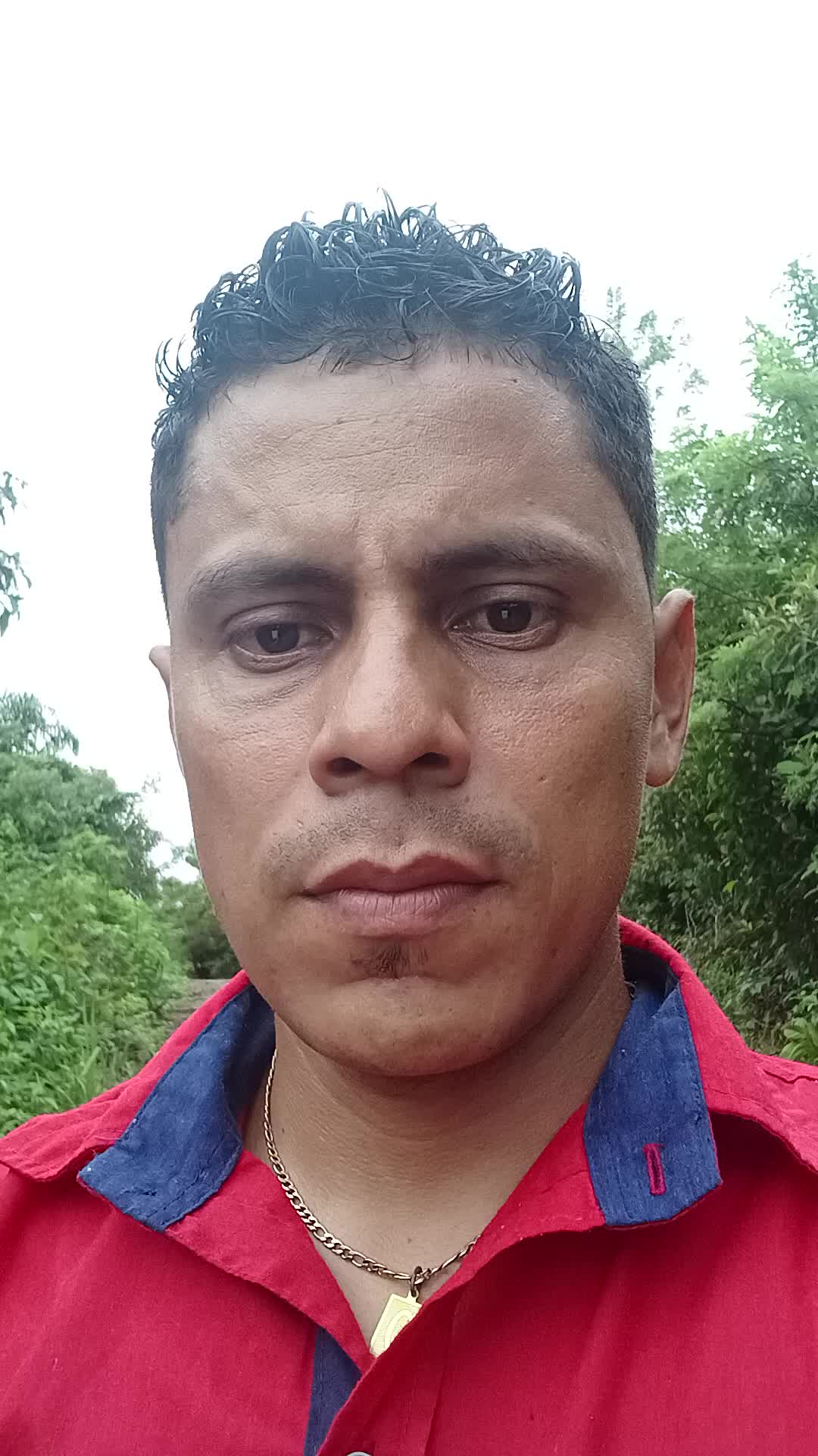 Docente