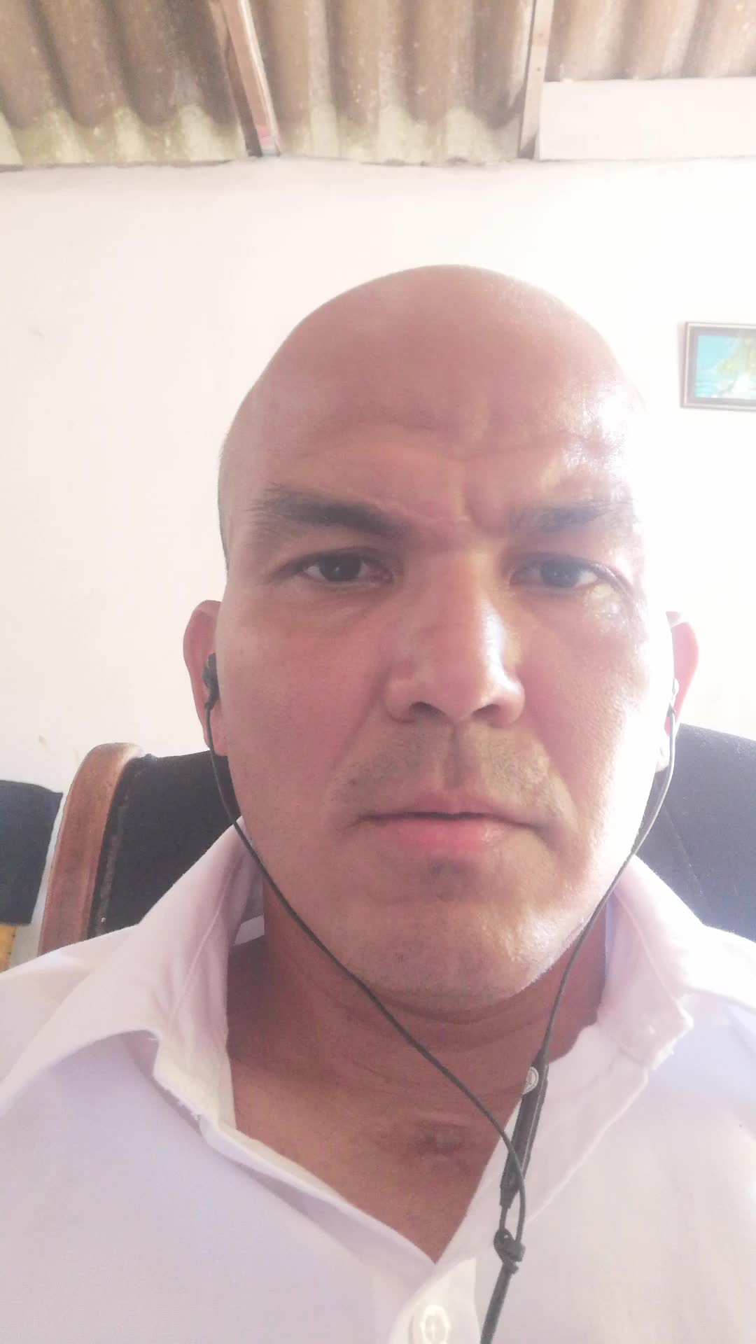 Asesor Comercial
