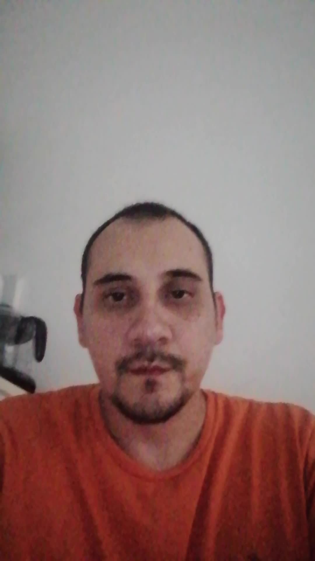 Asesor bilingüe 