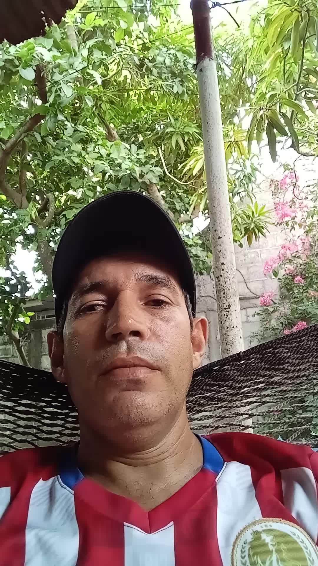 Asistente virtual