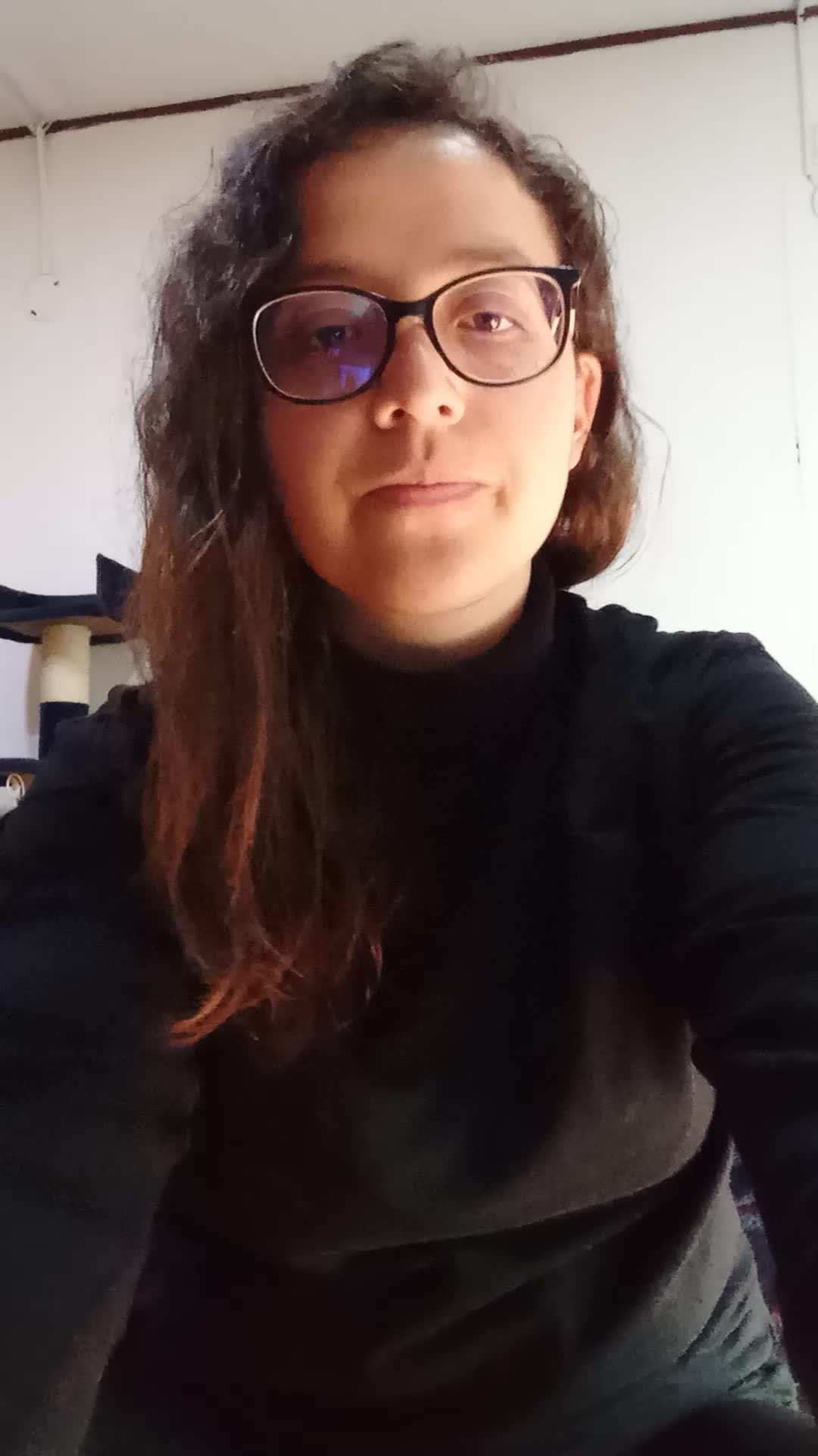 Asesor de servicio al cliente