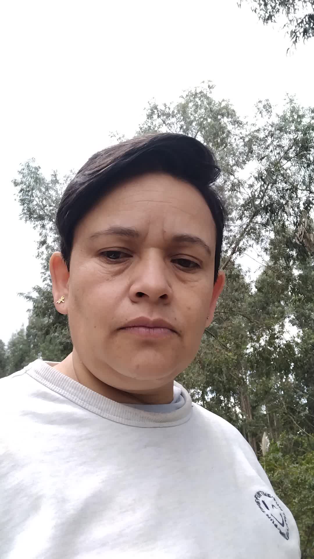 Asistente virtual 