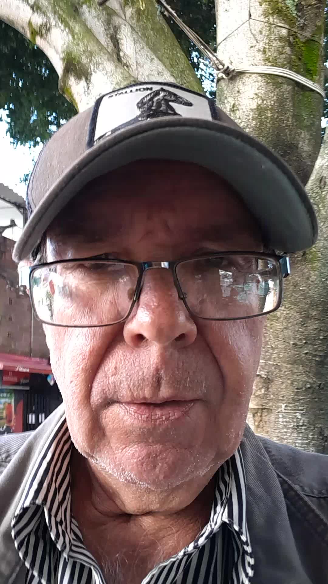 Comunicador Social-Periodista
