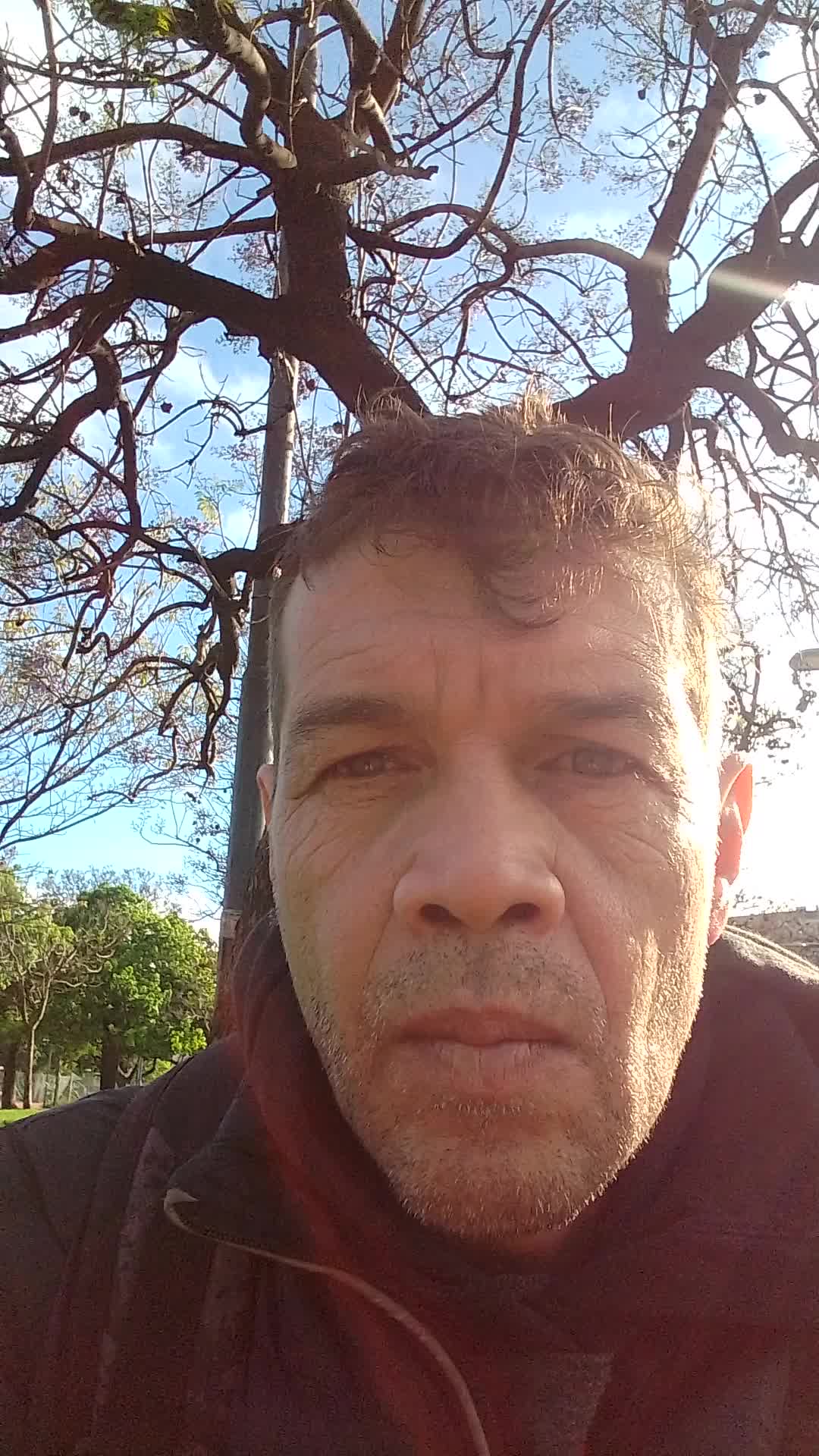 Asistente virtual 