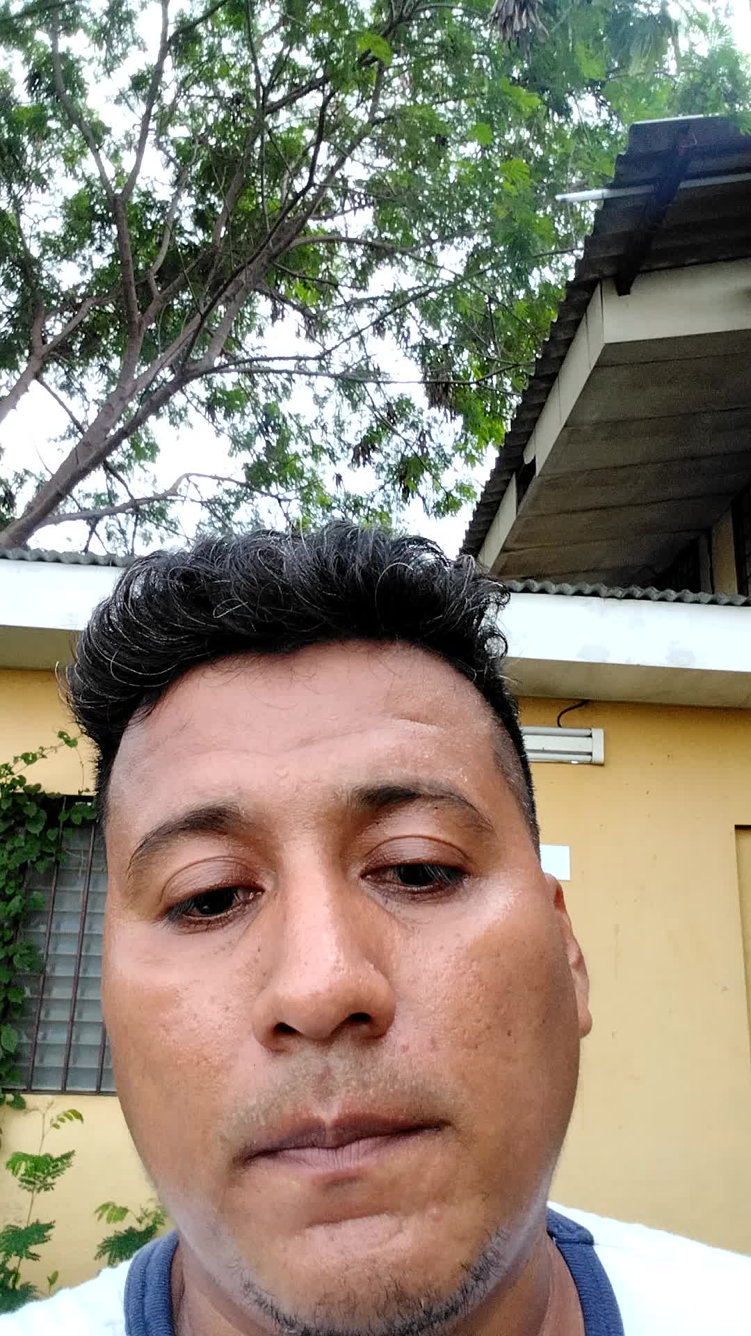 Universidad 