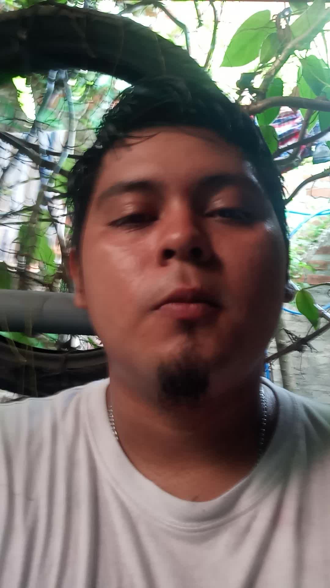 Asistente virtual