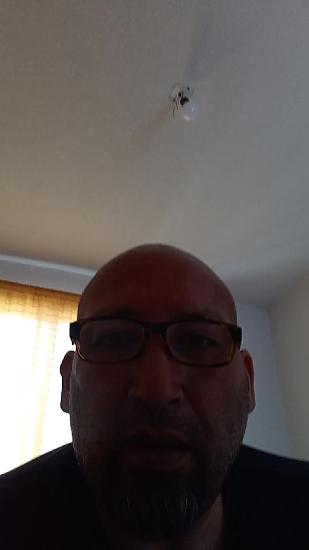 Virtual assistant 