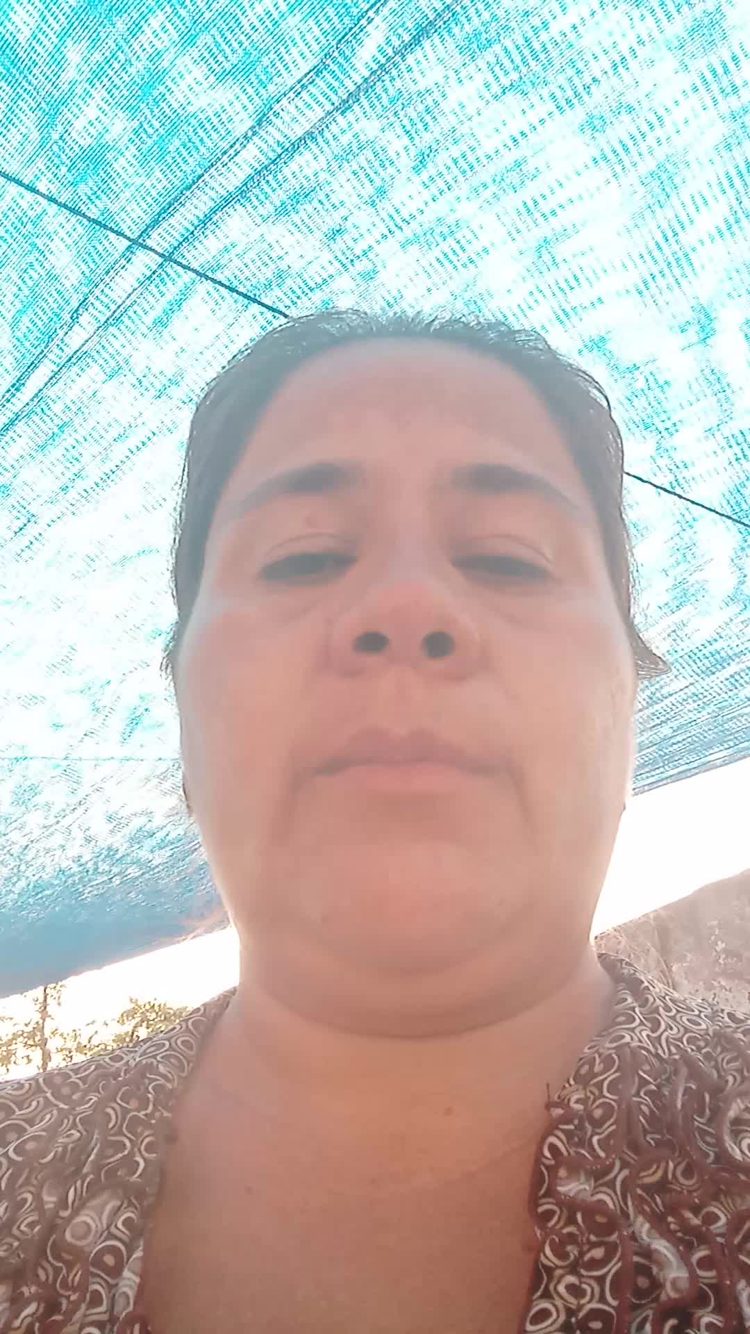 Asistente Virtual 