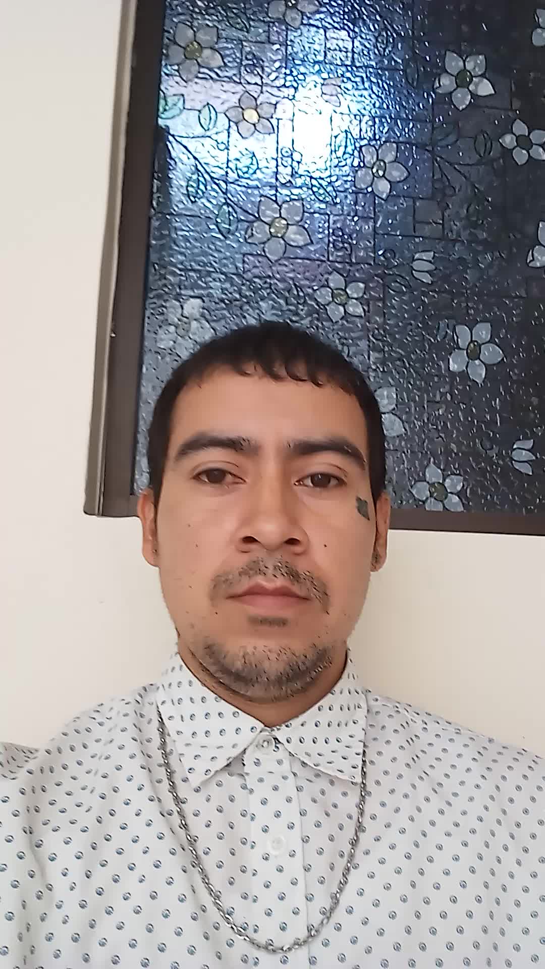 Agente Telefónico Bilingue