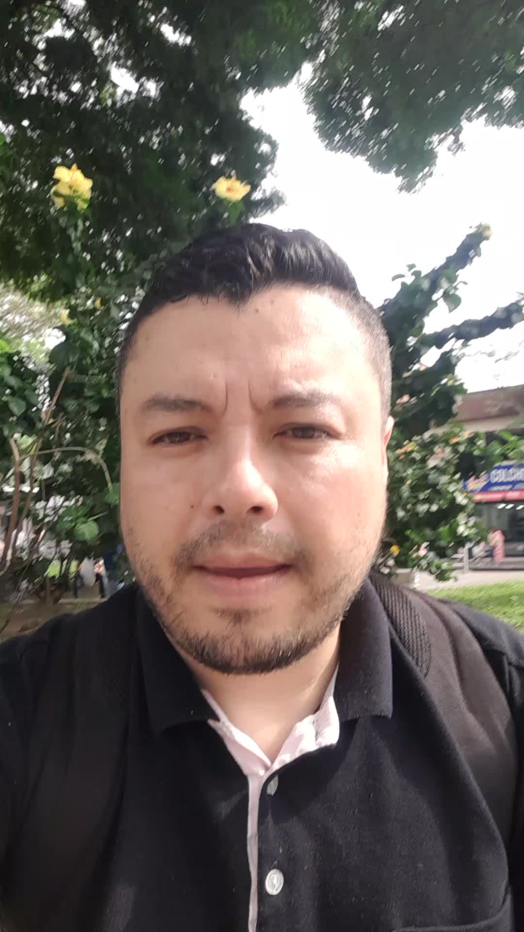 Asistente Virtual
