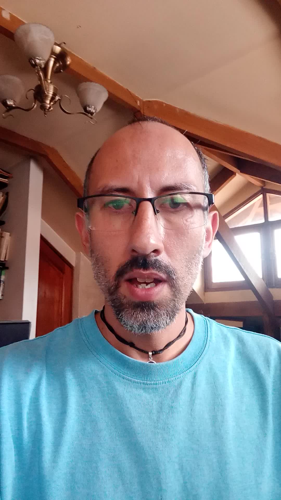 Interpreter/translator 