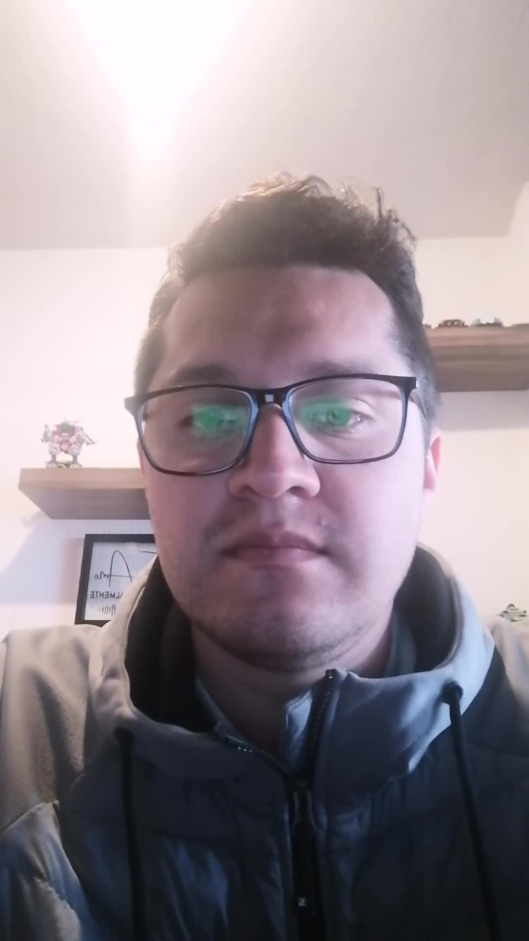 Remote assistant