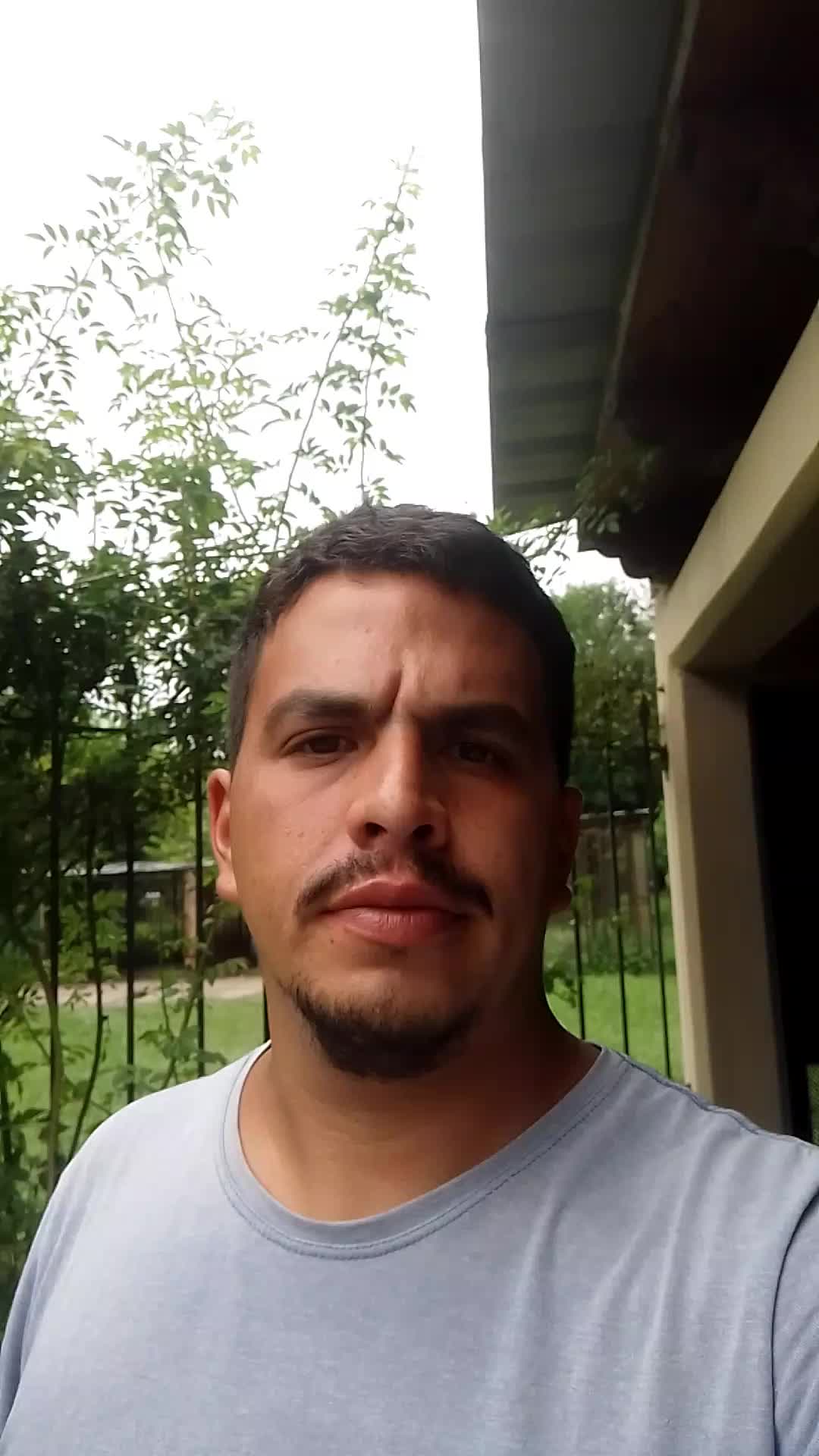 Vendedor 