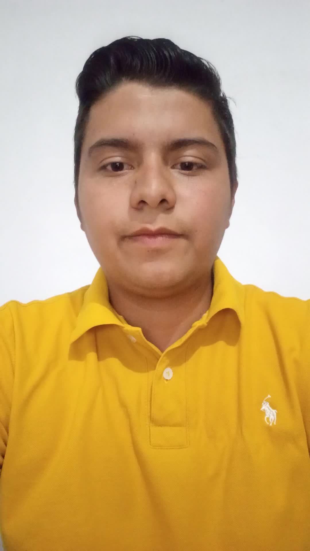 Técnico En Sistemas 