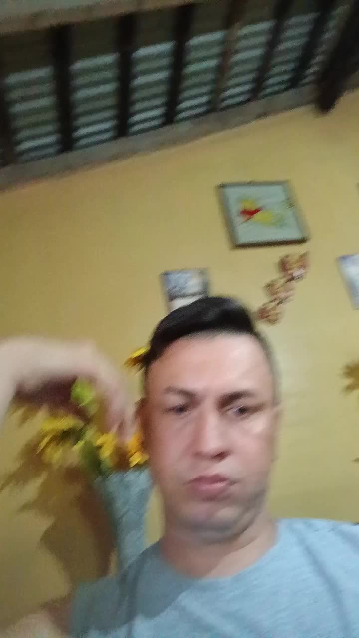 Perito mercantil y contador publico