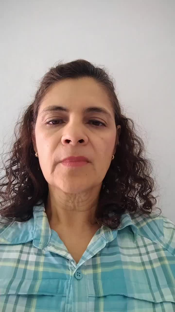 Traductor de contenido 