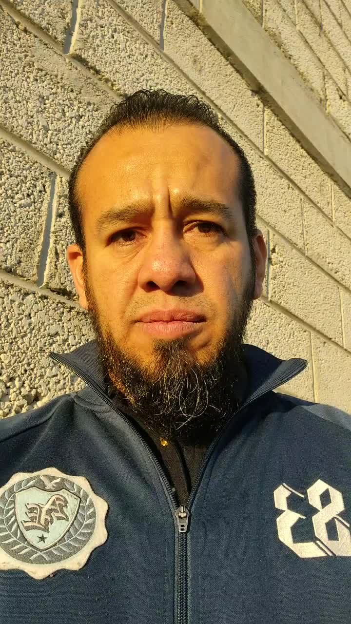 Translator 