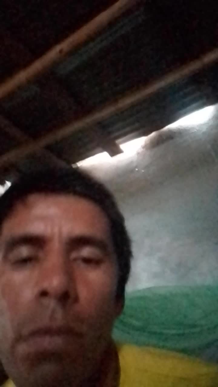 Bachiller 
