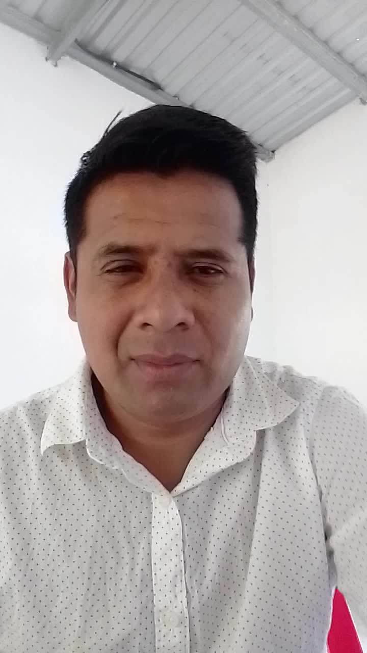 Soy profesor de educación primaria.