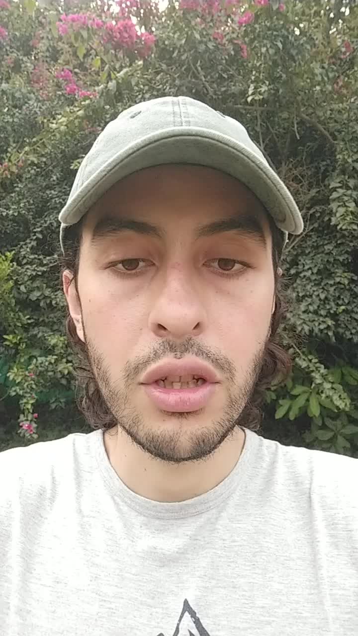 Asistente virtual 