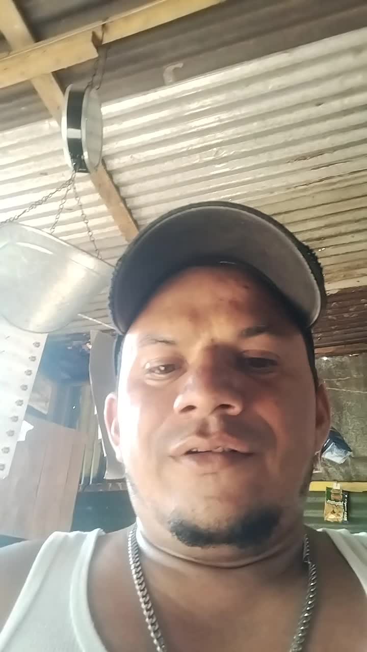 Contador técnico mercantil 