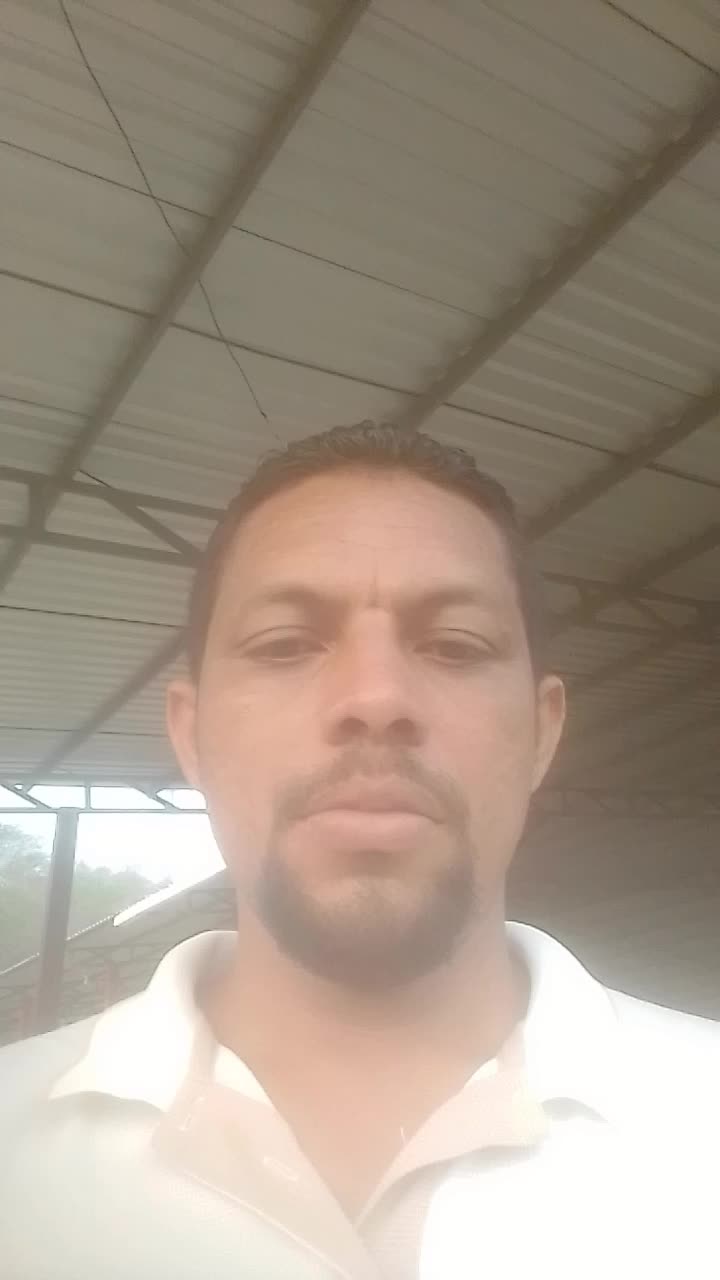 Lic en inglés, maestro de inglés de secundaria.