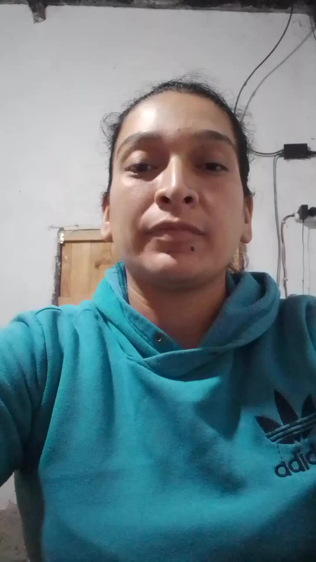 Profesorado agropecuaria 