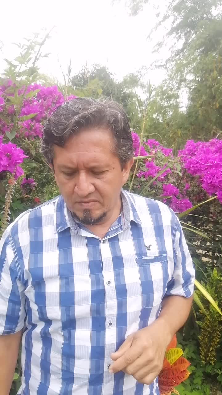 Asesor de servicio al cliente 