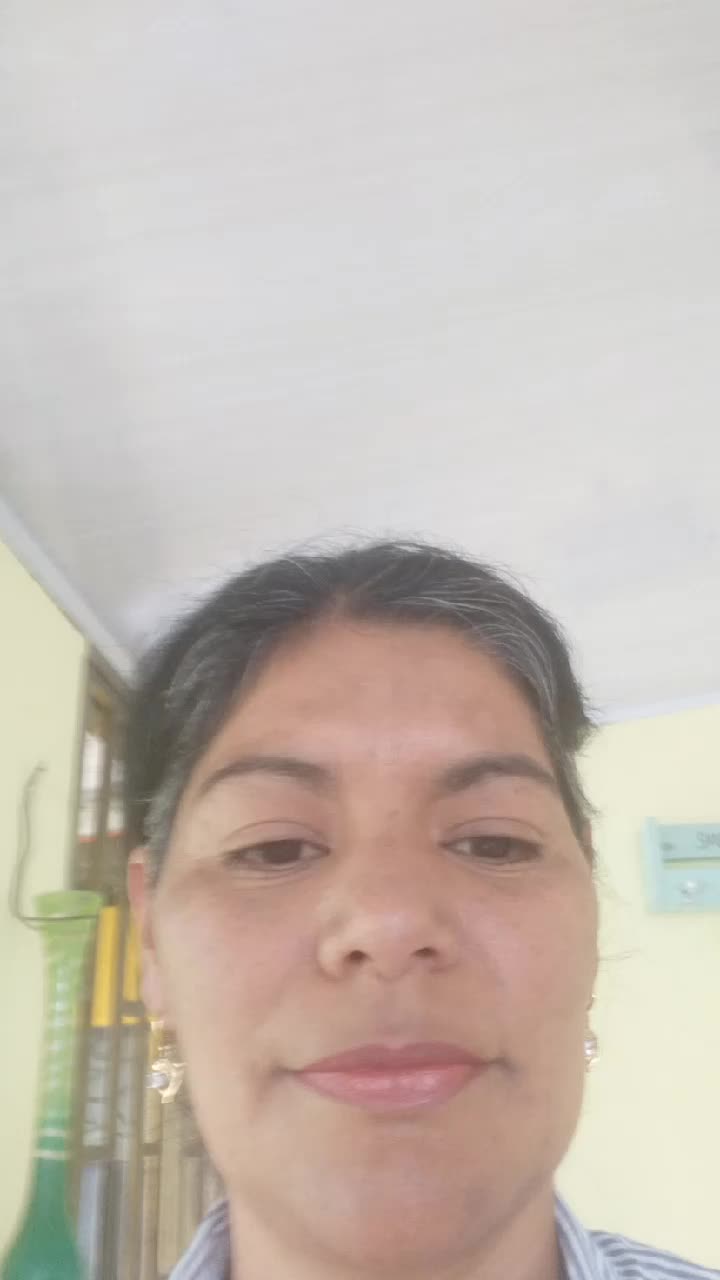 Asesor de servicio al cliente remoto