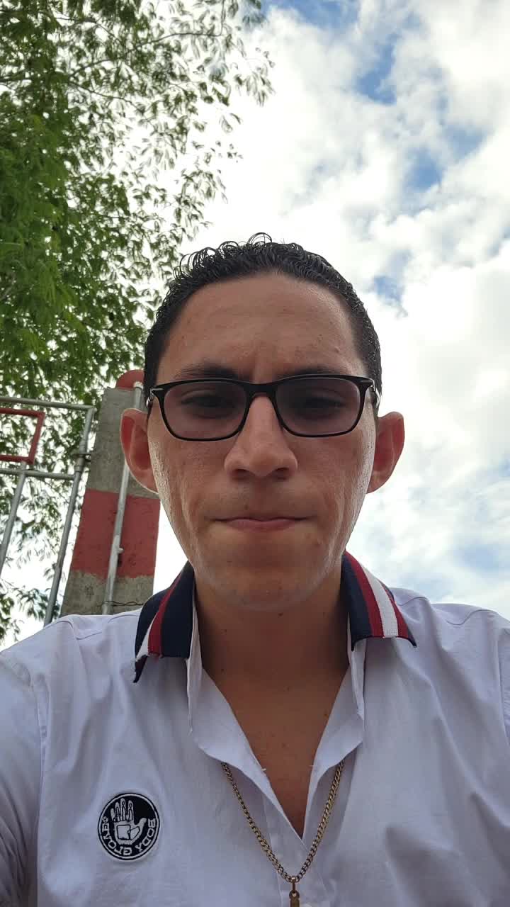 Ingeniero en Sistema de Información