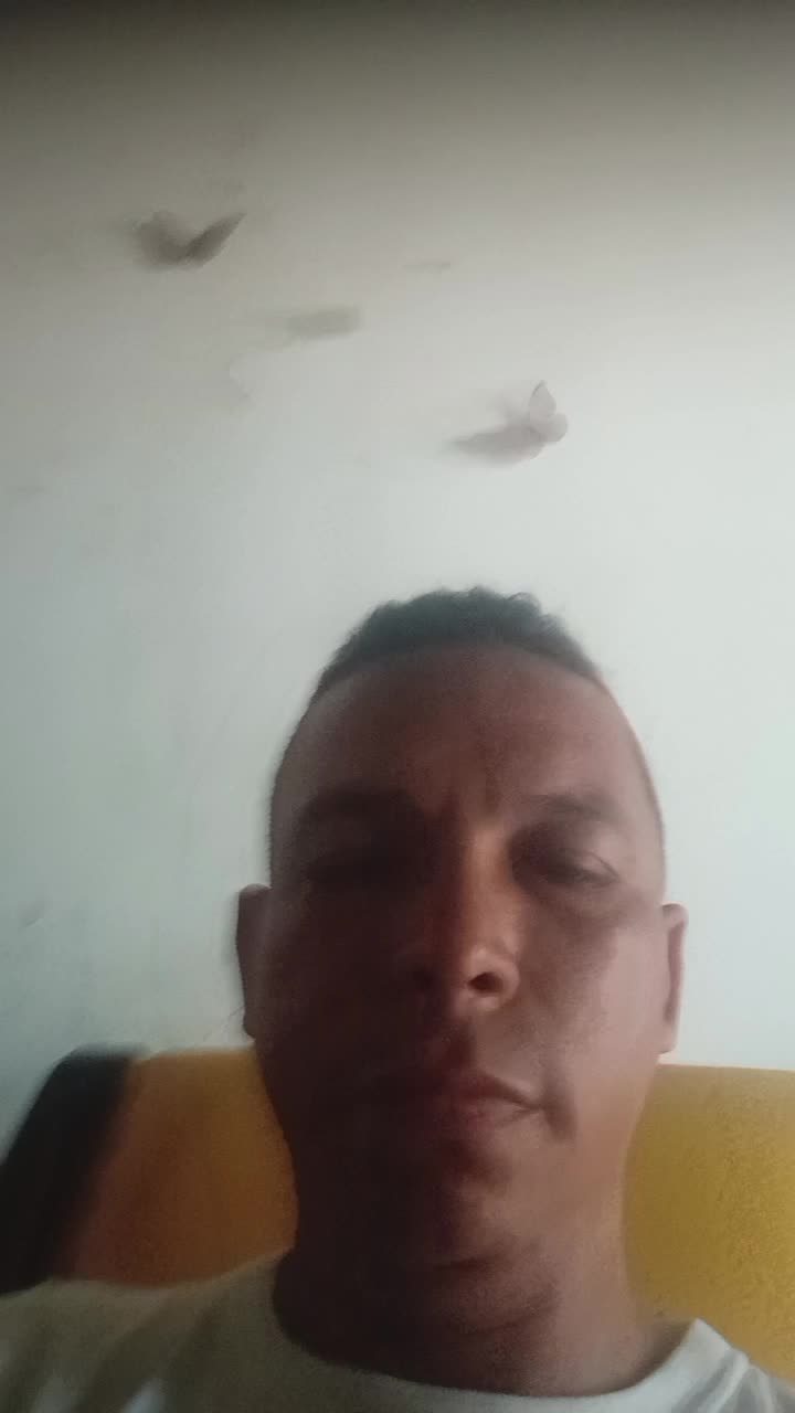 Agente de servicio al cliente 