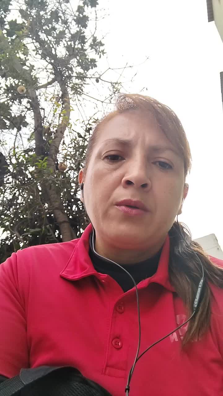 Asistente de atención al cliente 