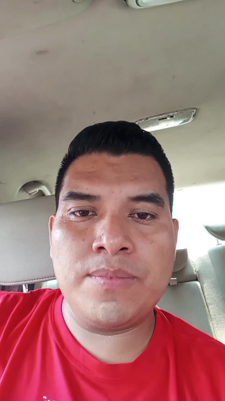 Auditor de calidad