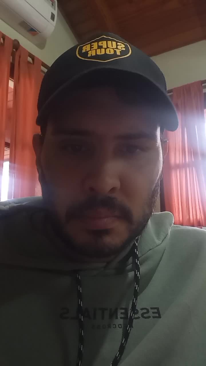 Programador y traductor