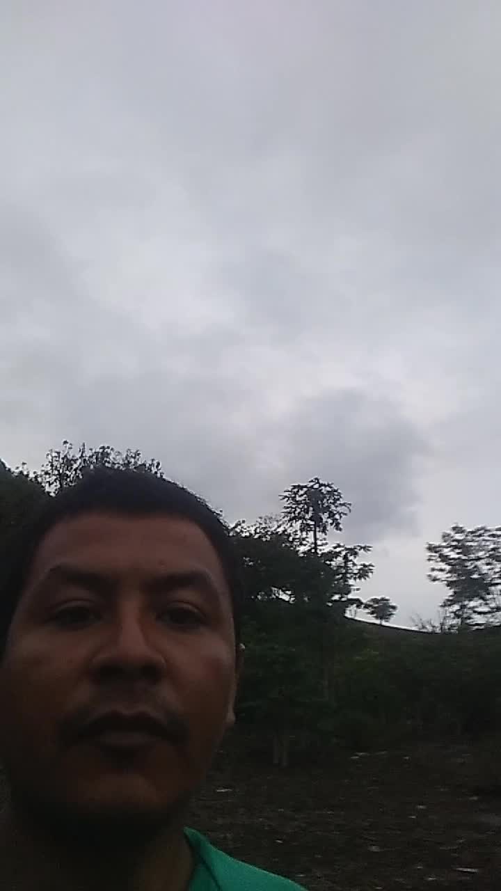 Bachillerato en Comercio 