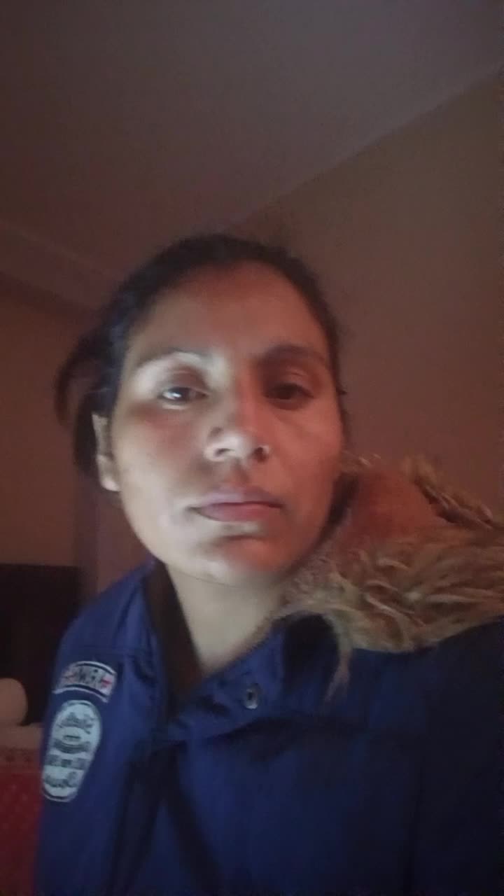 Auxiliar de administración 