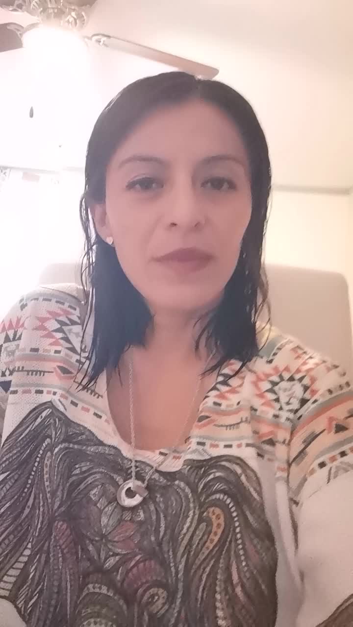 Project manager bilingual english\spanish