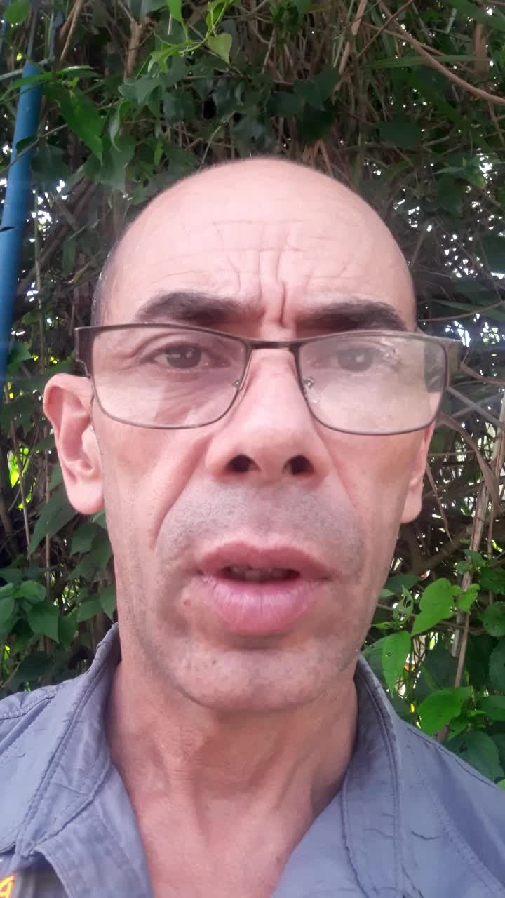 Técnico automotriz 