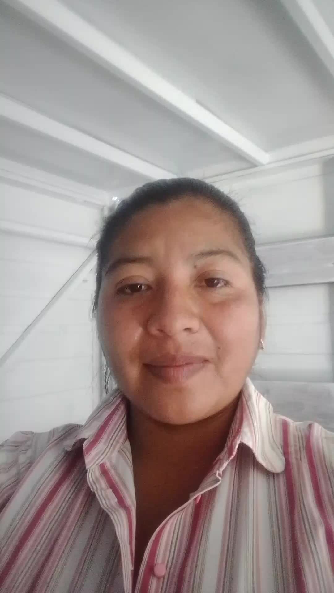 Asesor de ventas en línea