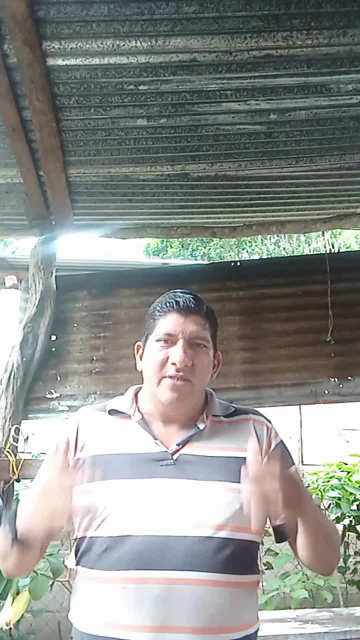 Agente de seguridad y atención al cliente 