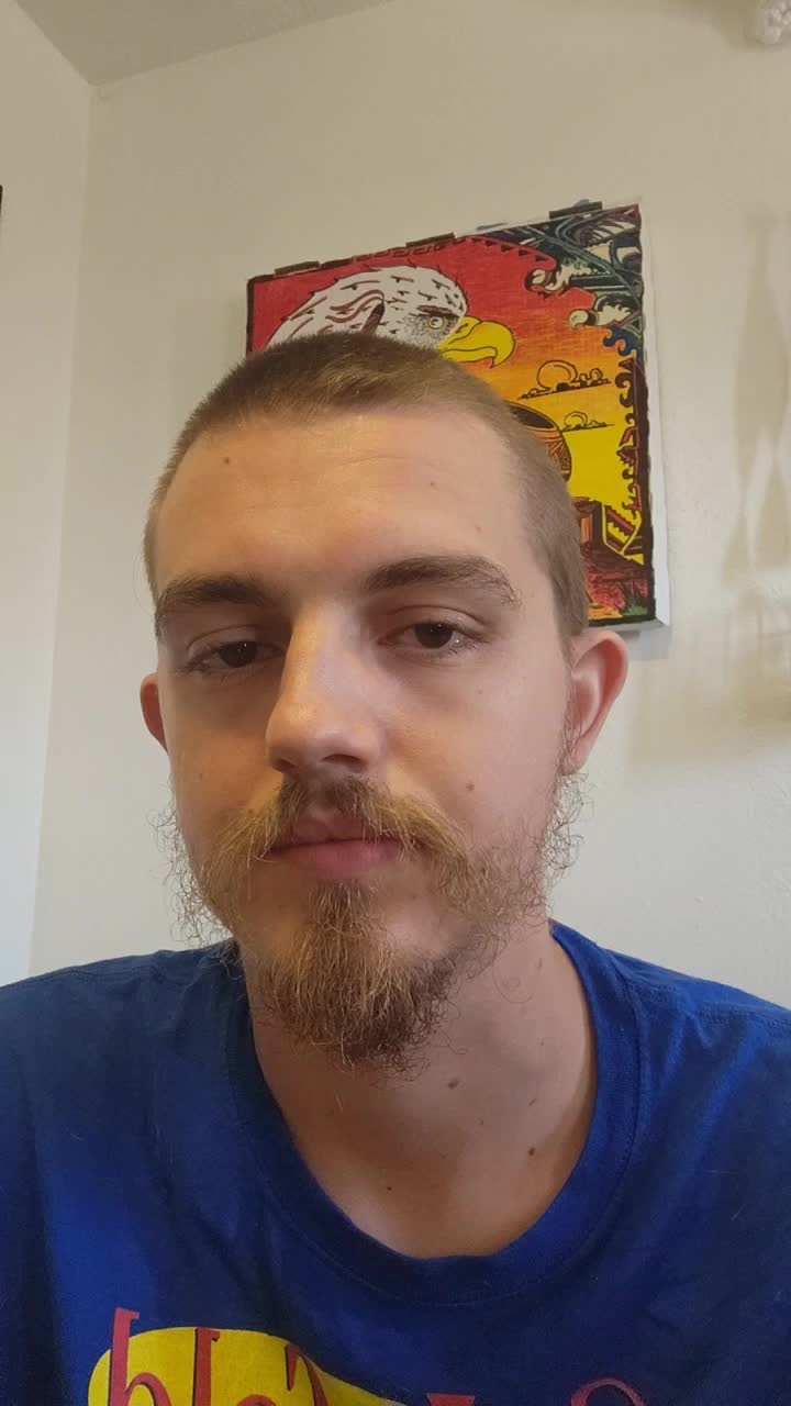 Looking for good honest work 