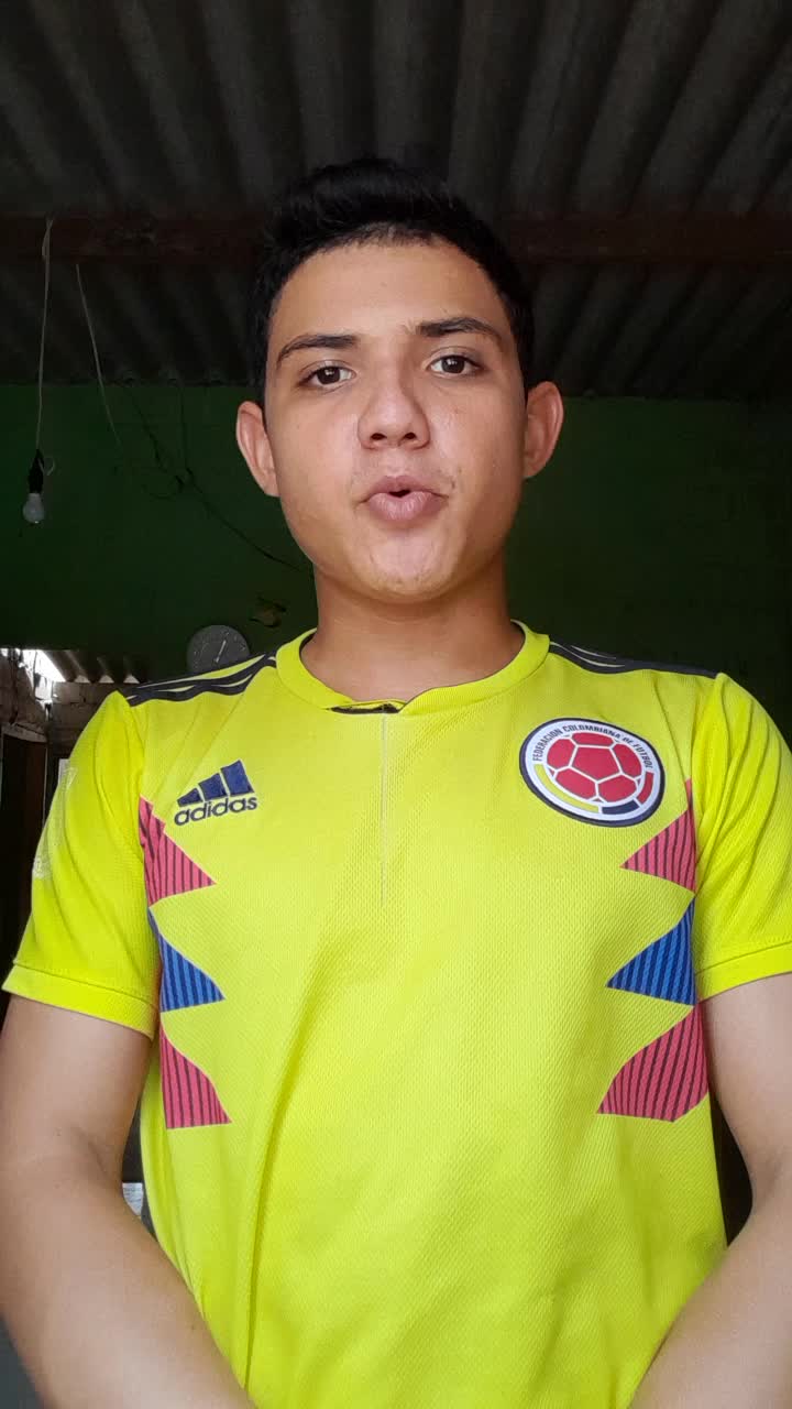 Ingeniero Industrial 